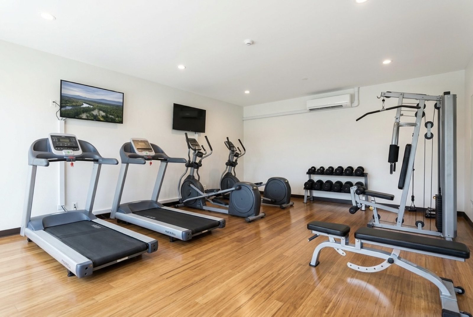 Fitness centre with treadmills, ellipticals, dumbbells and a cable machine