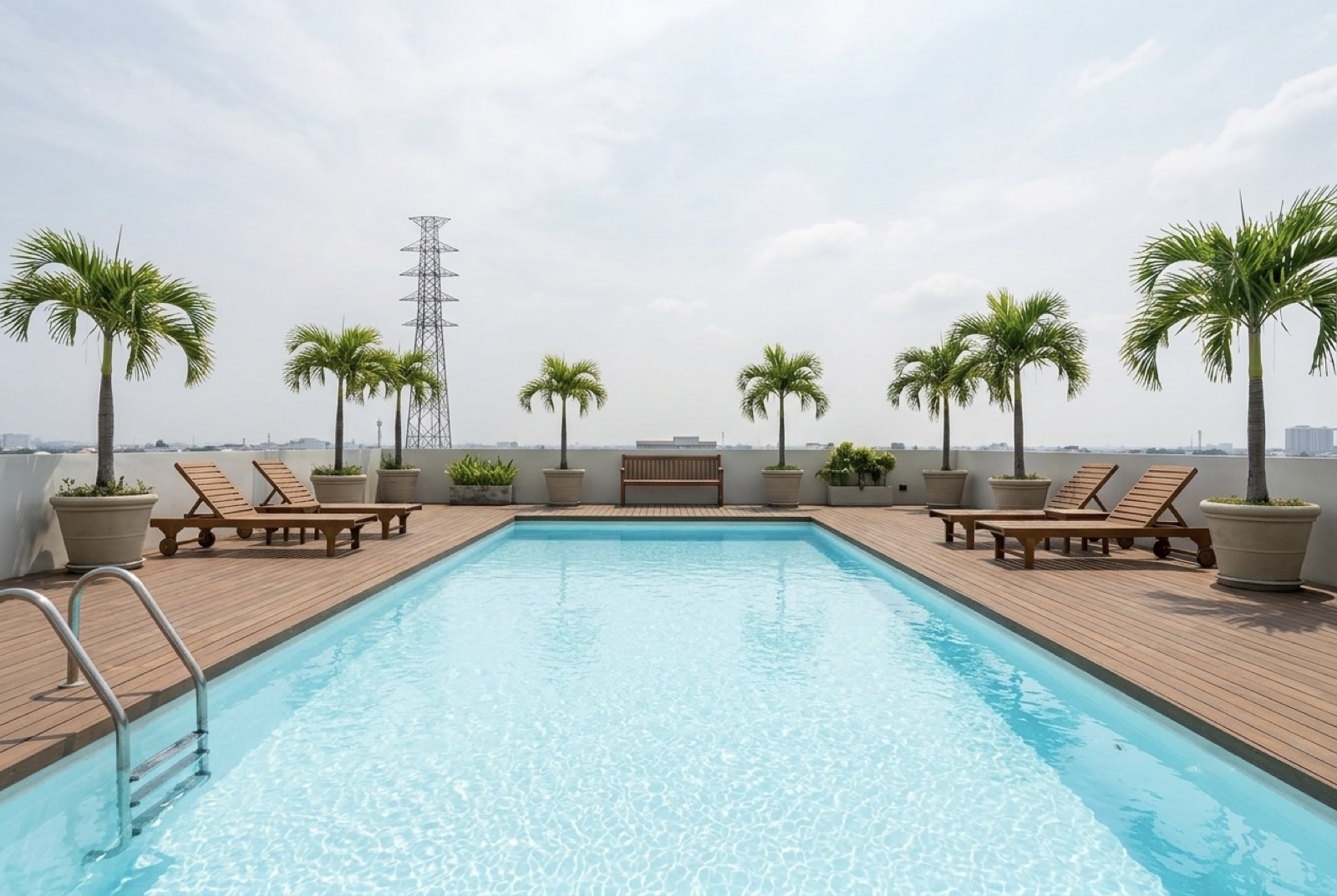 Rooftop swimming pool lined with palm trees and timber sun loungers